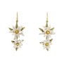 Edelweiss hook earrings by Michael Michaud